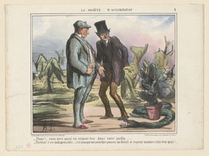 Tiens! Vous avez aussi un serpent-boa...
