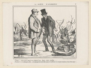 Tiens! Vous avez aussi un serpent-boa...