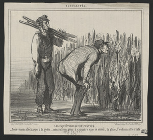Les inquiétudes du viticulture