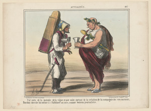 Par suite de la maladie de la vigne...