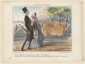 Tiens, voilà des vaches qui ont un corps...