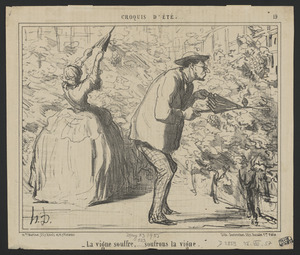 La vigne souffre, soufrons la vigne