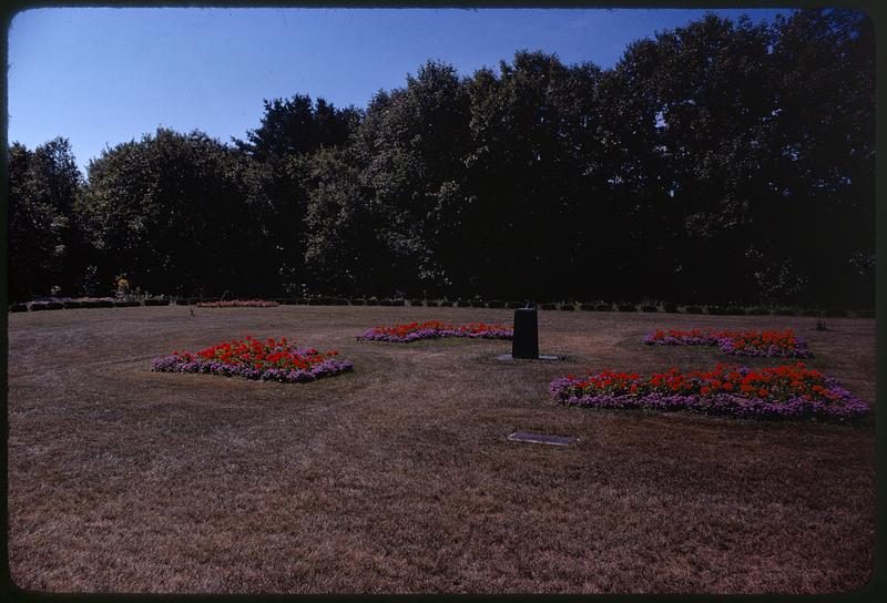 Flowers & sun dial