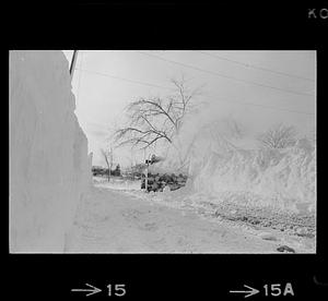 Blizzard, Guinea Bridge