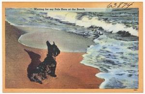 Waiting for my pals here at the beach,