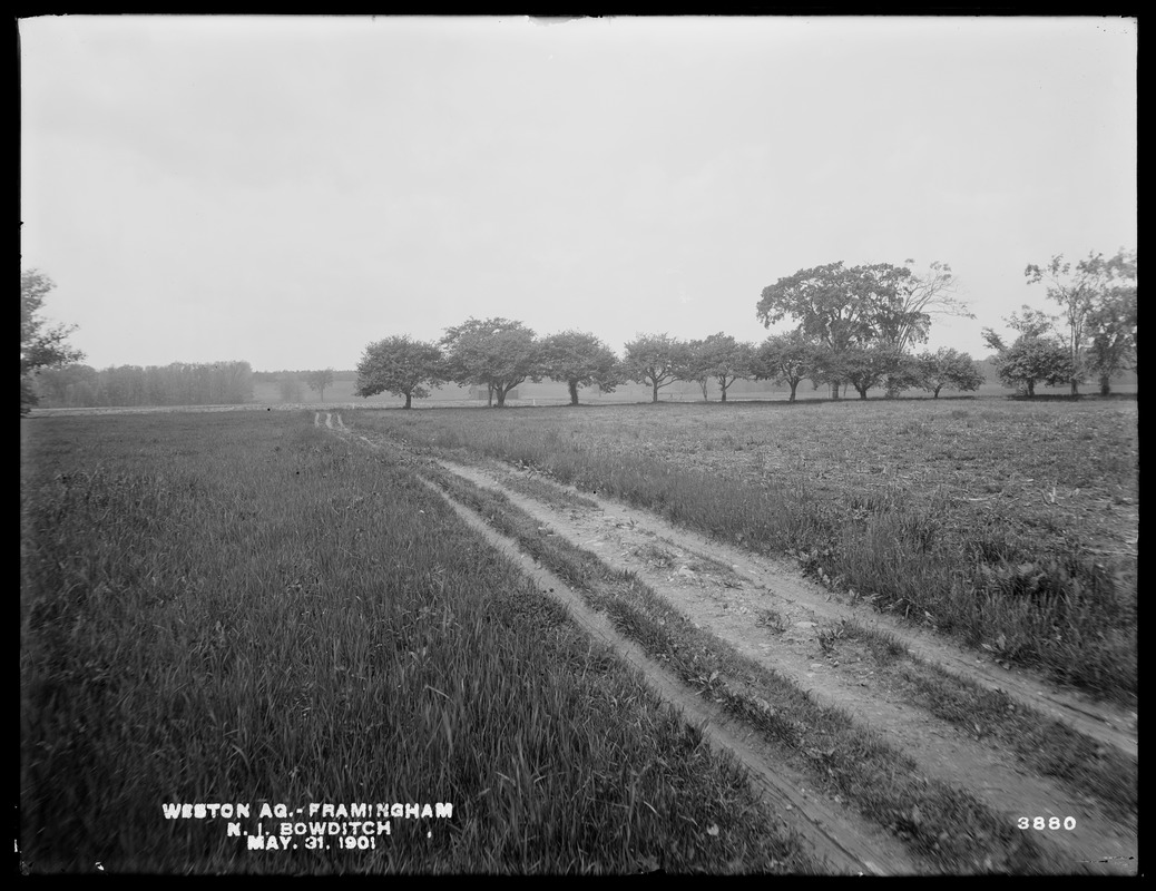 Weston Aqueduct, road on N. I. Bowditch's property, Framingham, Mass., May 31, 1901