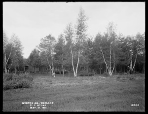 Weston Aqueduct, summer camp on C. F. Stone's property, Wayland, Mass., May 31, 1901