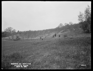 Weston Aqueduct, peach orchard on Francis Shaw's property, Wayland, Mass., May 31, 1901
