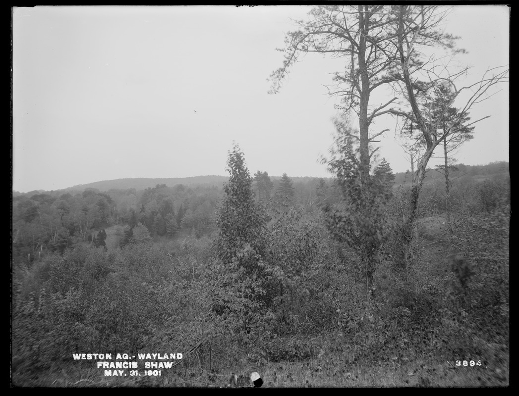 Weston Aqueduct, Francis Shaw's property, Wayland, Mass., May 31, 1901