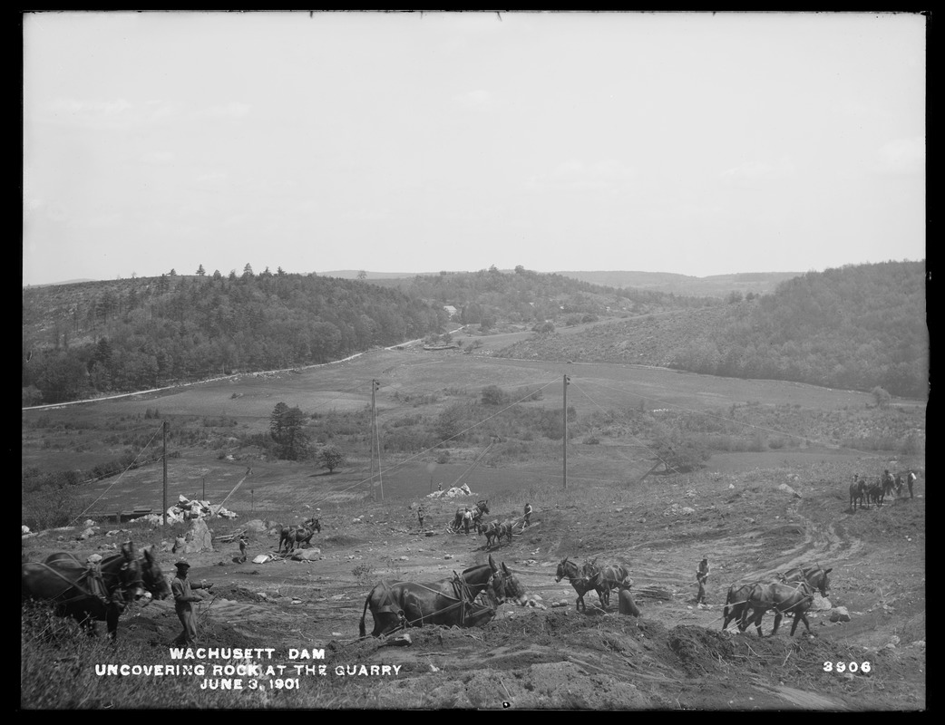 Wachusett Dam, mule scrapers uncovering rock at the quarry, Boylston, Mass., Jun. 3, 1901