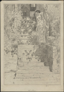 The steps