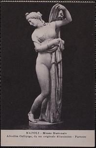 Napoli - Museo Nazionale. Afrodite Callipige, da un originale Ellenistico - Farnese