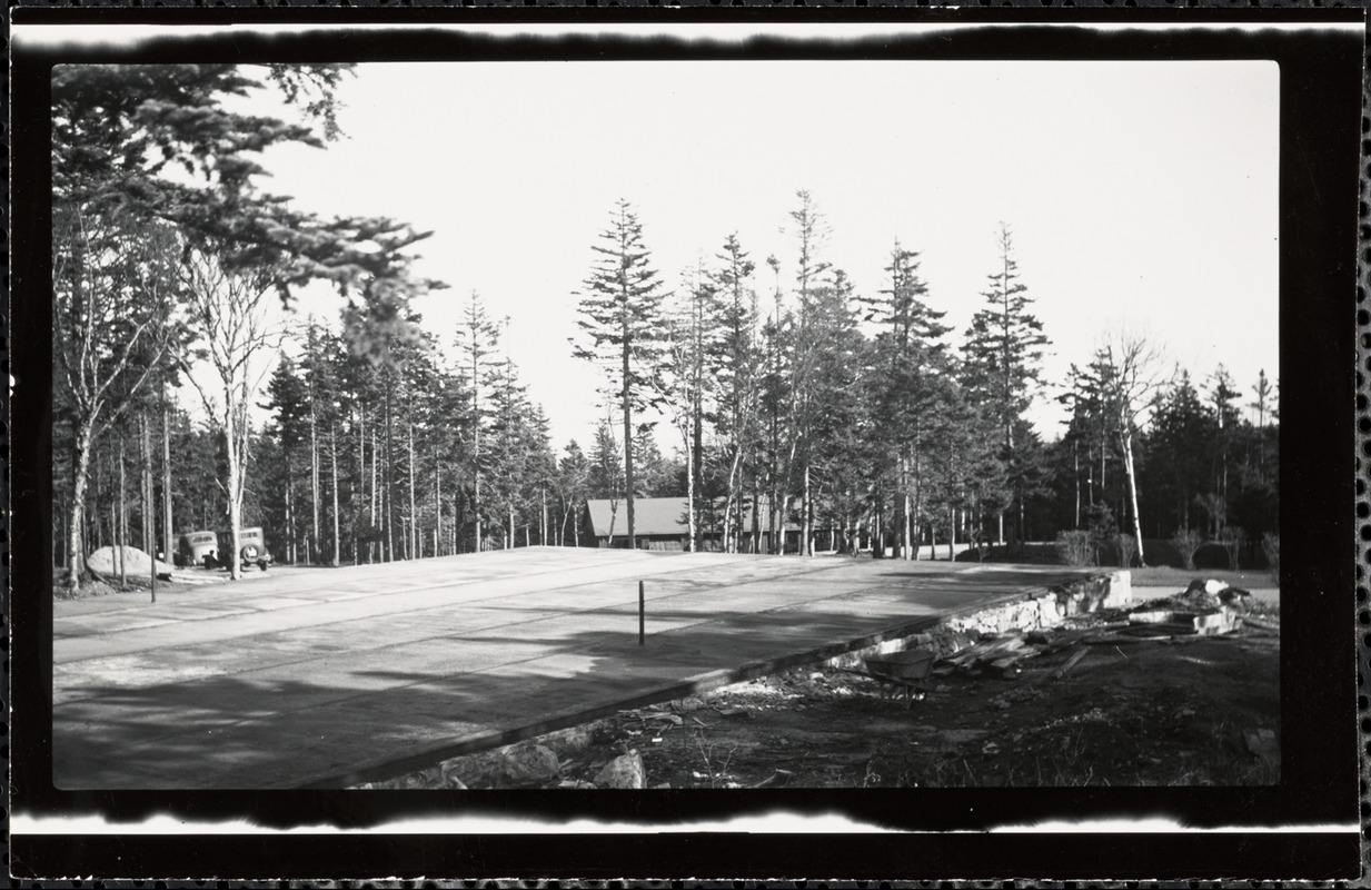 Building in trees with cars