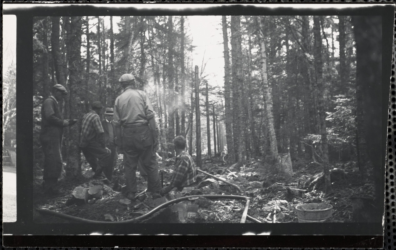 Men working in forest