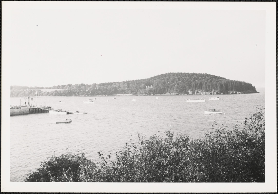 View of pier with boats