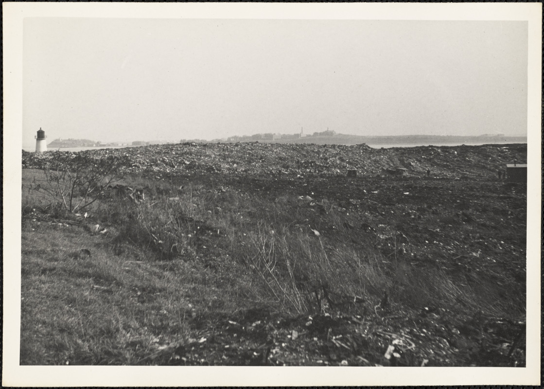 Field with lighthouse