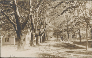Bellevue Avenue, South Yarmouth, Mass.