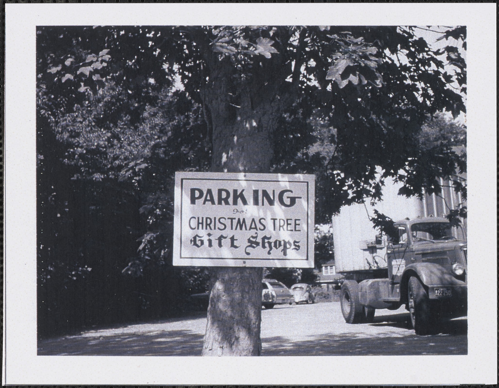 Christmas Tree Shop, southwest corner of Old King's Highway and Willow
