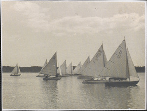 Sailboats racing on Lewis Bay
