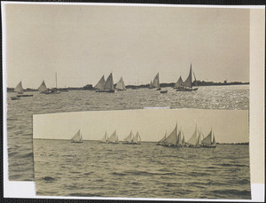 Sailboat races