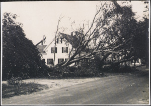 1944 Hurricane damage in South Yarmouth, Mass.