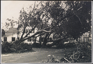 1944 Hurricane damage, South Yarmouth. Mass.