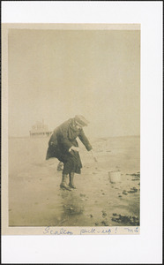 Mary L. Kane (Johnson) picking up scallops