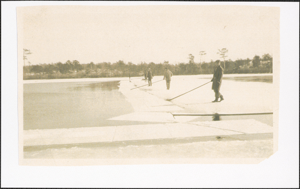 Cutting ice on Sandy Pond, West Yarmouth, Mass.