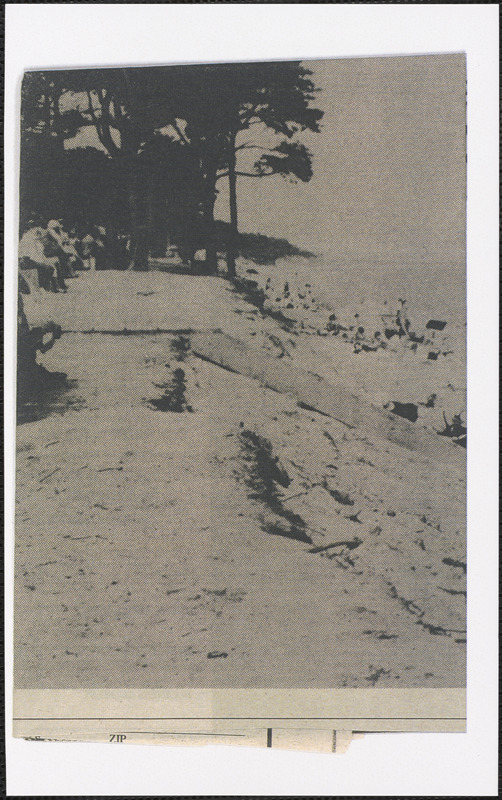 Newspaper photograph of town beach and park, South Yarmouth, Mass.