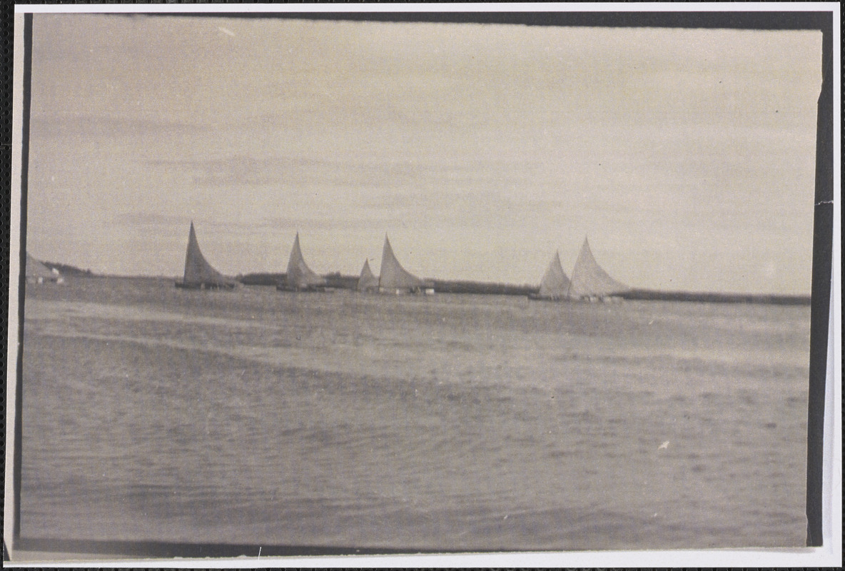 Cat boats racing on Bass River Digital Commonwealth