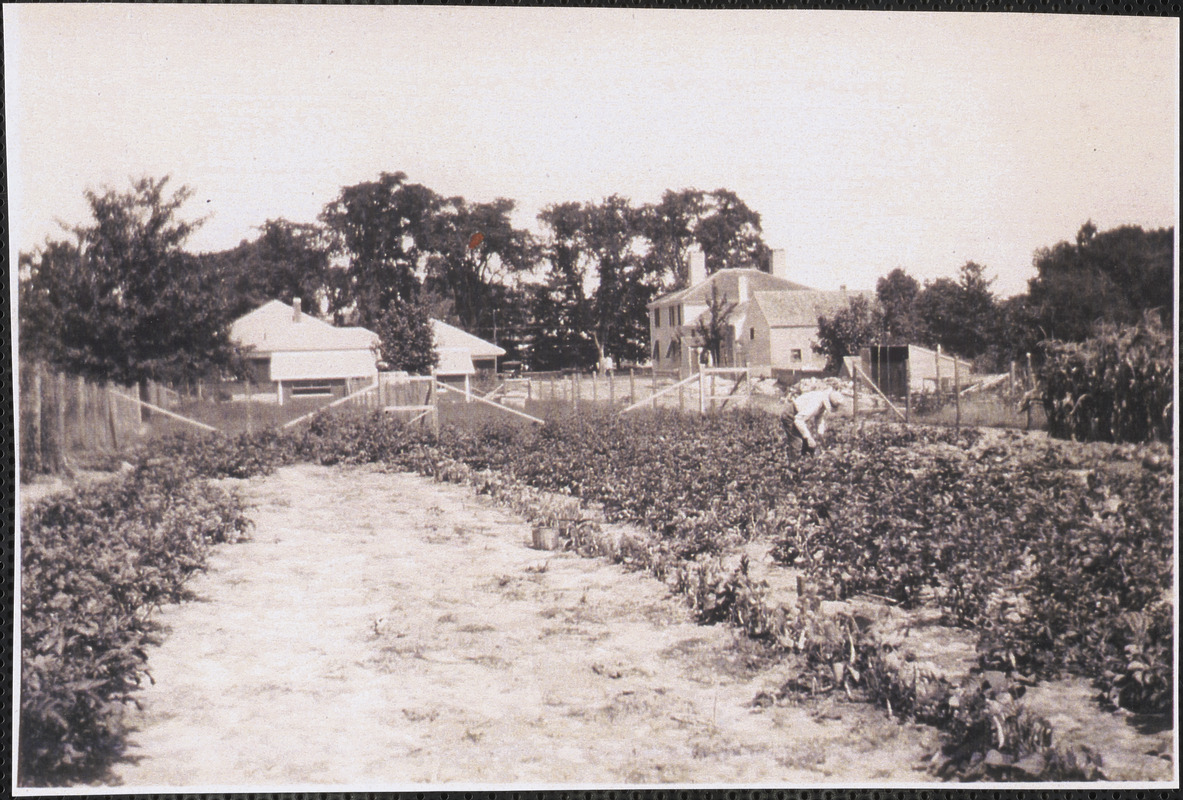 Benjamin Howes working in his garden