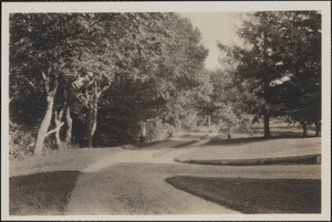 Road scene