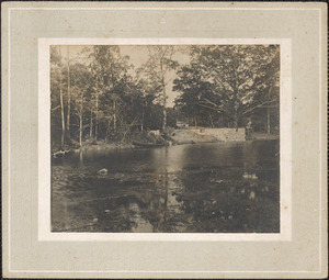 Unidentified view of pond