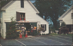 The Christmas Tree Shops, corner of Willow St. and Old King's Highway