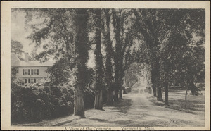 A view of the Common, Strawberry Lane, Yarmouth Port, Mass.