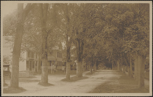 Old King's Highway, looking east, Yarmouth Port, Mass.