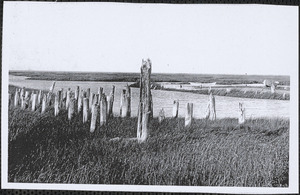 Pilings at the end of Wharf Lane, Yarmouth Port, Mass.