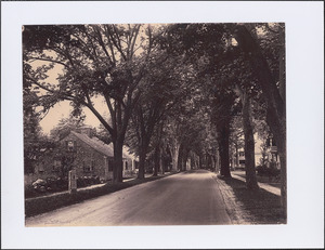 Old King's Highway, Yarmouth Port, Mass.