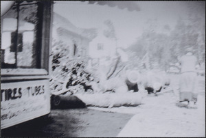 Wind Storm in 1924, South Yarmouth, Mass.