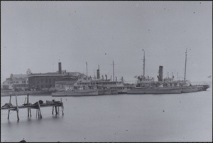 Several ships at dock