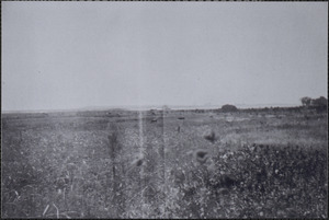 View of Celia Crowell's house