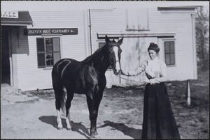 Woman holding the reins of horse