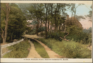 A back woods road