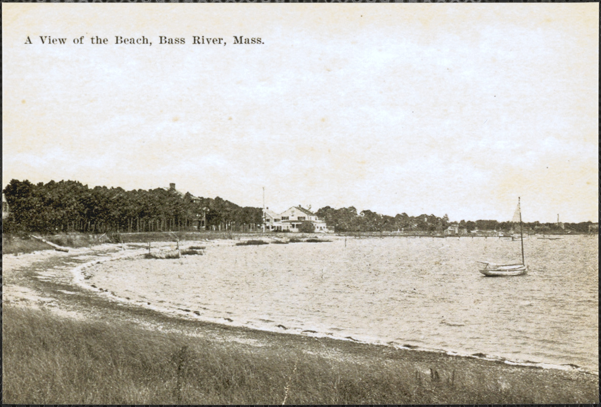 A view of the beach, Bass River