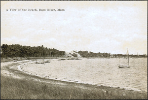 A view of the beach, Bass River