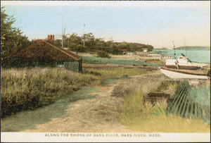 Along the shore of the Bass River