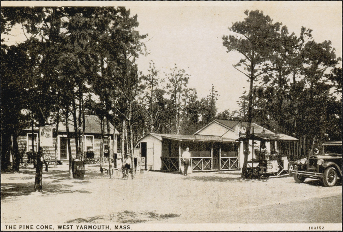 The Pine Cone, South Yarmouth, Mass.