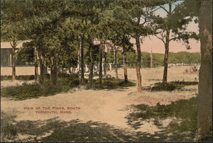A view of The Pines, South Yarmouth, Mass.