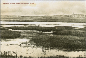 Marsh scene, Yarmouth Port, Mass.