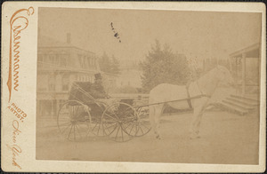 Man driving a horse and buggy